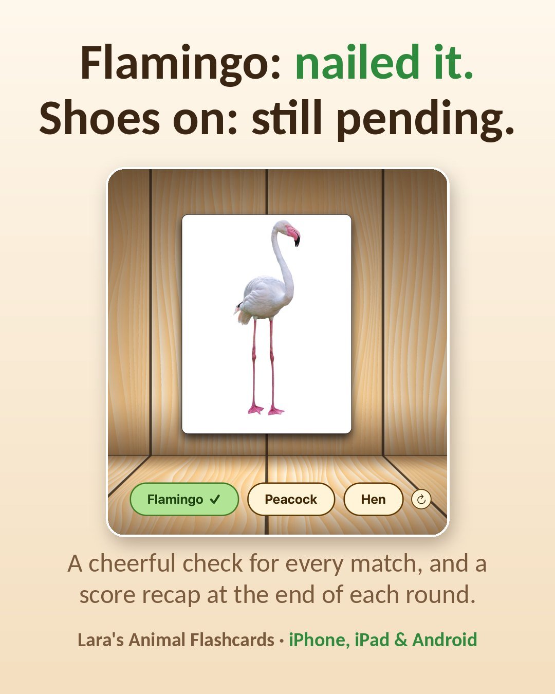 Flamingo: nailed it. Shoes on: still pending.